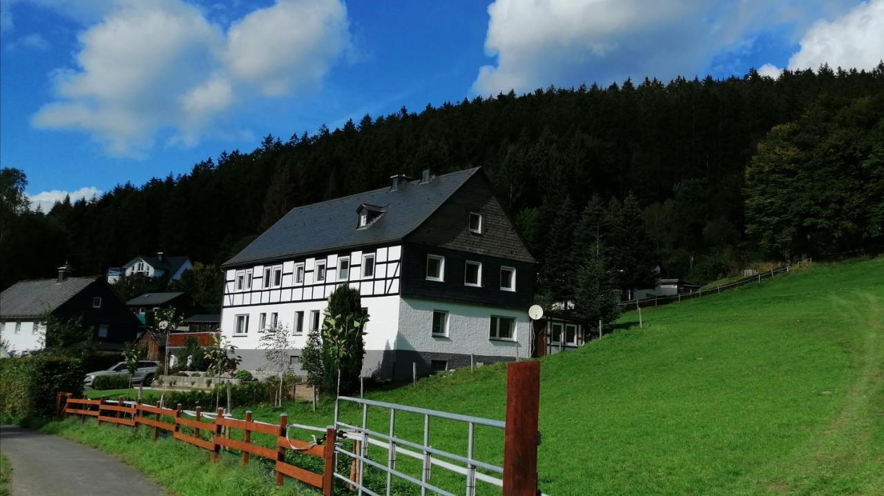Modernisierte Ferienwohnung Im Schoenen Sauerland Мешеде Экстерьер фото
